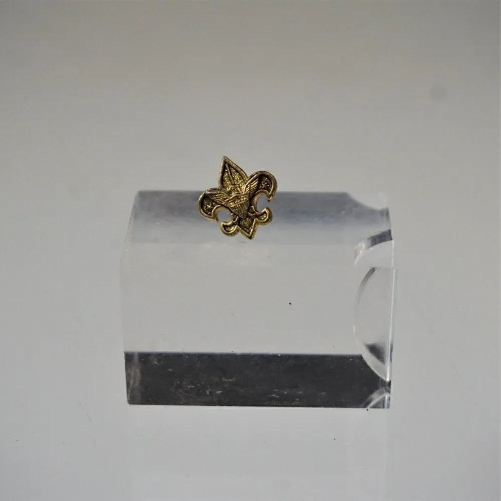 Boy Scouts of America BSA Rank Pin Tenderfoot Rank